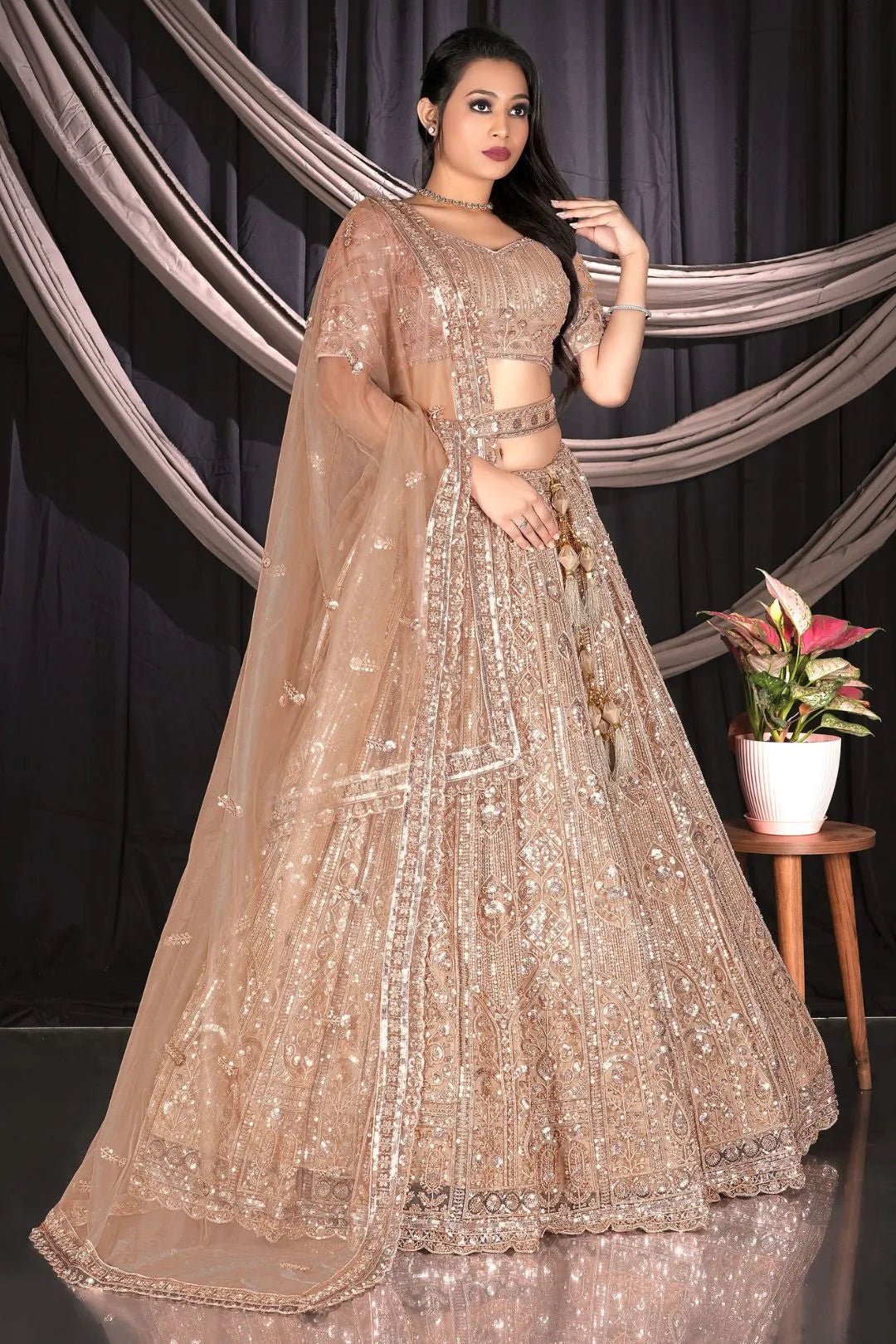 Chiku Colour Net Lehenga Choli Set For Women - Gajiwala