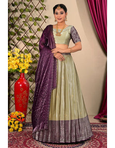 Chiku Jacquard Silk Half Saree For Women - Gajiwala