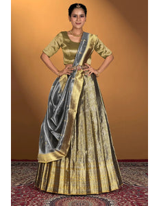 Gray Pure Two Tone Zari Tissue Lehenga Choli - Gajiwala