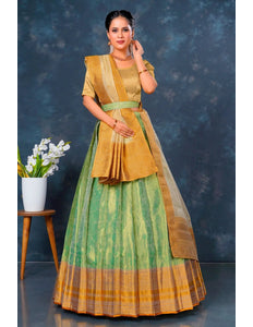 Pista Designer Lehenga Choli in Tissue Silk - Gajiwala