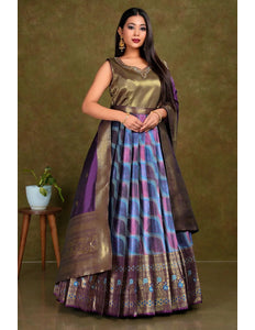 Sky Blue Long Banarasi Silk Gown With Dupatta - Gajiwala