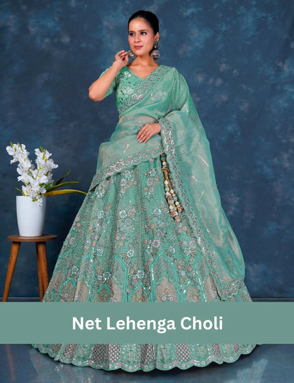 Net Lehenga Choli - Gajiwala