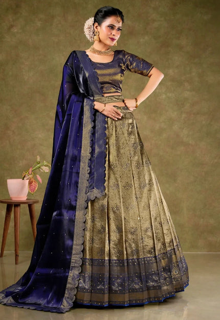 Black Banarasi Silk Semi-Stitched Lehenga For Women