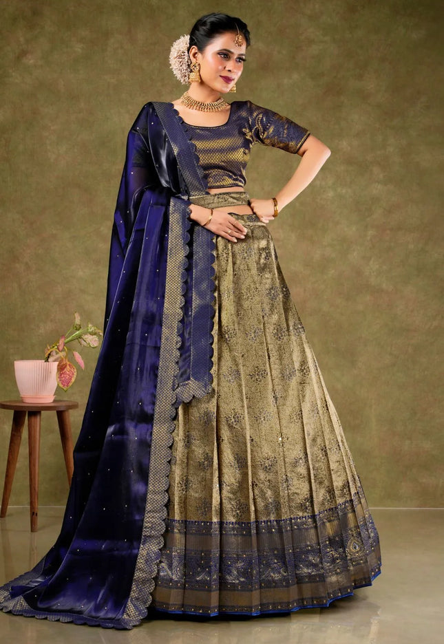 Black Banarasi Silk Semi-Stitched Lehenga For Women