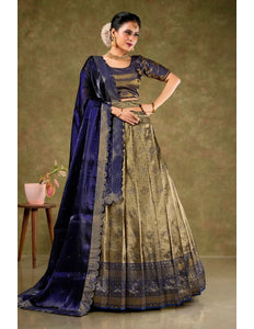 Black Banarasi Silk Semi-Stitched Lehenga For Women