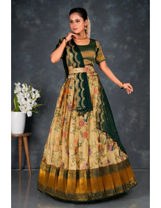 Chiku Banarasi Silk Lehenga Choli With Digital Print