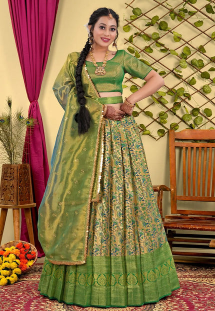Chiku Banarasi Silk Lehenga Choli With Floral Zari Work