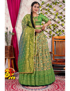 Chiku Banarasi Silk Lehenga Choli With Floral Zari Work