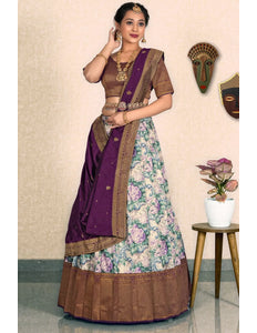 Chiku Banarasi Jacquard Half Saree With Digital Print