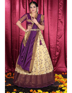 Chiku Banarasi Zari Silk Party Lehenga Choli For Women