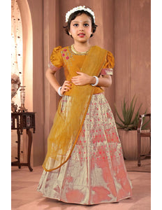Gajari Banarasi Kids Lehenga Style With Musterd Net Dupatta