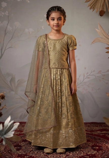 Gray Banarasi Silk Kids Lehenga Choli with Stylish Dupatta
