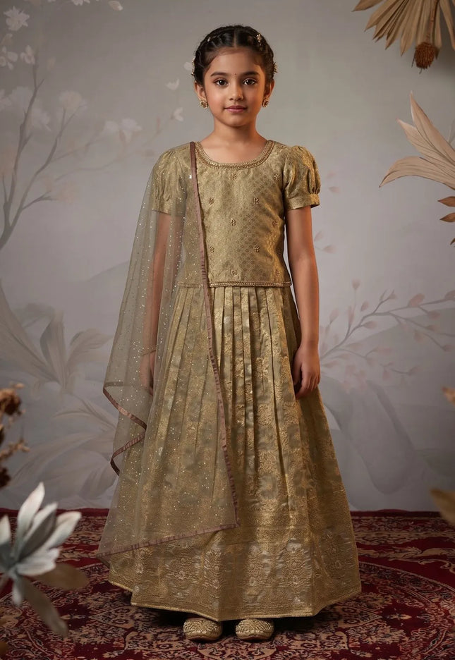 Gray Banarasi Silk Kids Lehenga Choli with Stylish Dupatta
