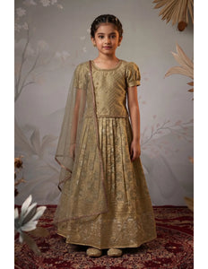 Gray Banarasi Silk Kids Lehenga Choli with Stylish Dupatta