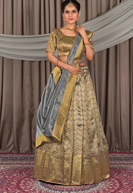 Gray Latest Pure Two Tone Zari Tissue Lehenga Choli