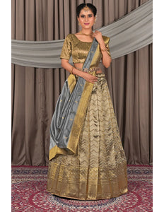 Gray Latest Pure Two Tone Zari Tissue Lehenga Choli