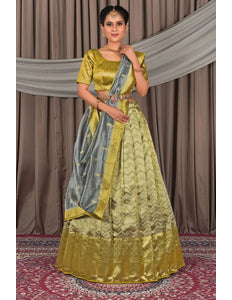 Gray Liril Latest Pure Two Tone Zari Tissue Lehenga Choli