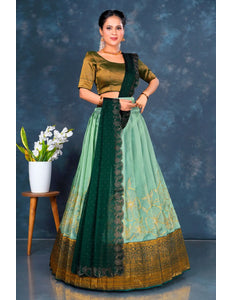 Pista Banarasi Half Saree with Embroidery For Women