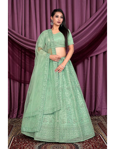 Pista Party Wear Embroidered Net Lehenga Choli For Women