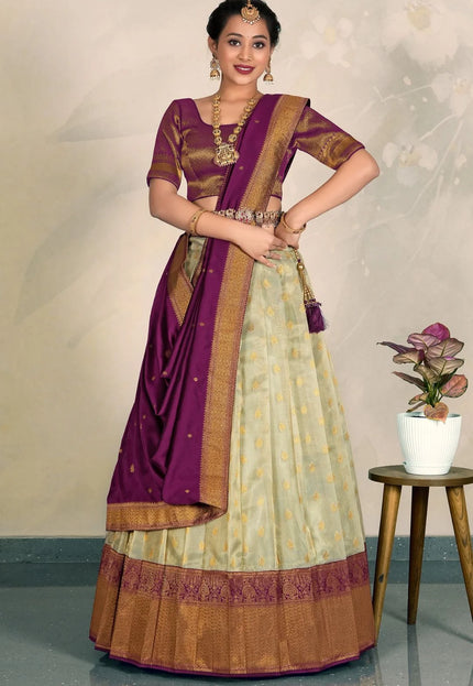 Pista Tissue Silk Lehenga Choli Zari Work Design For Women