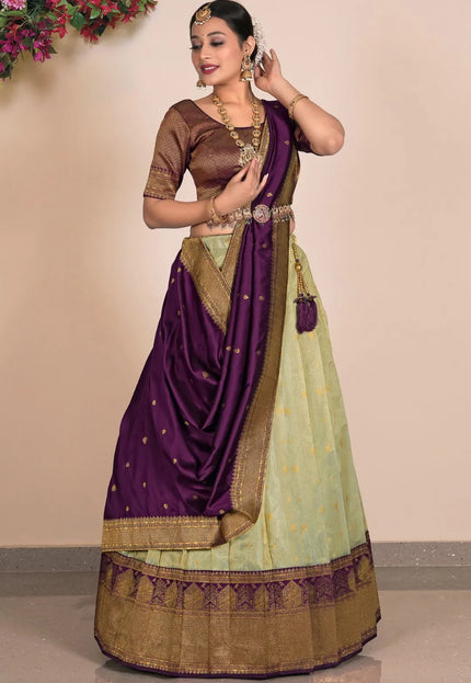 Pista Zari Tissue Silk Lehenga Choli Design For Women