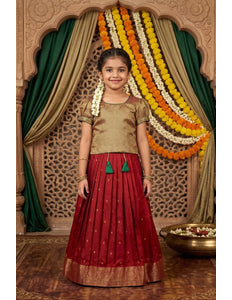 Red Girls Silk Pattu Pavadai Ethnic Wear Lehenga Choli Set