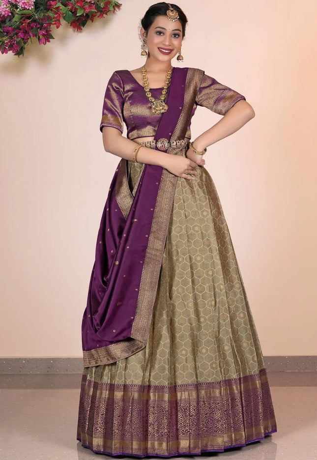 Chiku Banarasi Silk Half Saree With Zari Weaving - Gajiwala