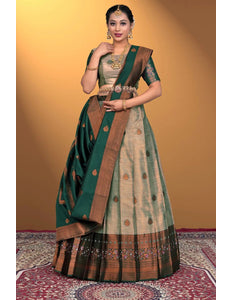 Chiku Banarasi Silk Lehenga Design For Women - Gajiwala