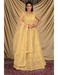 Chiku Colour Net Crop Top Lehenga Choli - Gajiwala