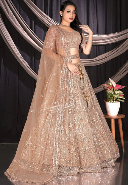 Chiku Colour Net Lehenga Choli Set For Women - Gajiwala