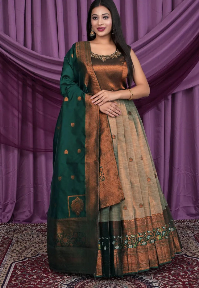 Chiku Designer Banarasi Gown With Dupatta - Gajiwala