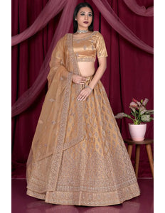 Chiku Embroidery Work Net Lehenga Choli - Gajiwala