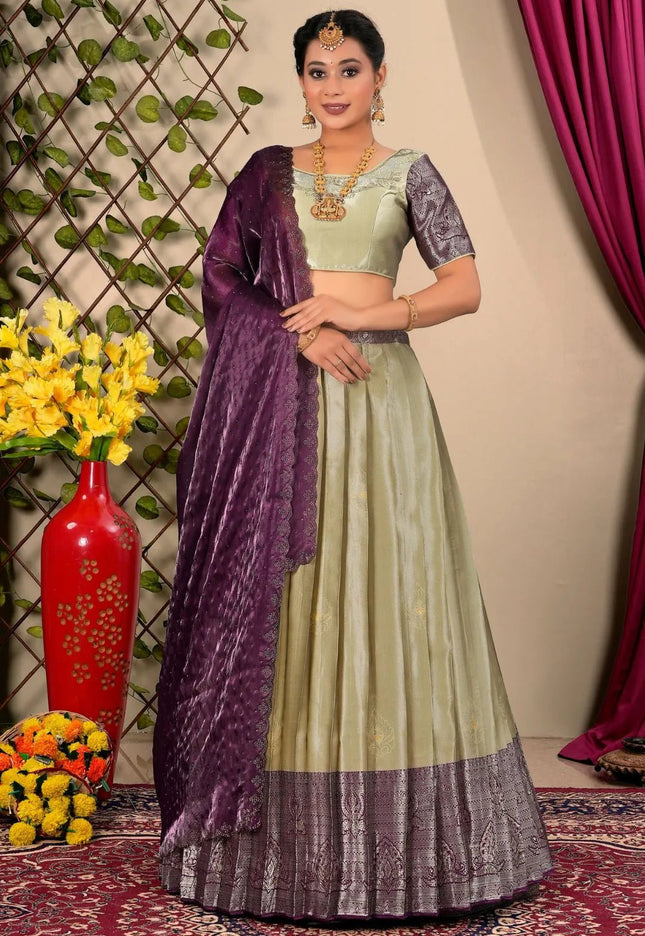Chiku Jacquard Silk Half Saree For Women - Gajiwala