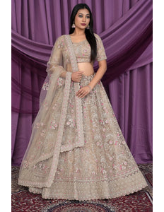 Chiku Latest Heavy Net Lehenga Choli For Women - Gajiwala