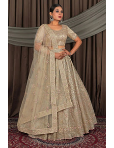 Chiku Party Wear Net Lehenga Choli For Weddings - Gajiwala