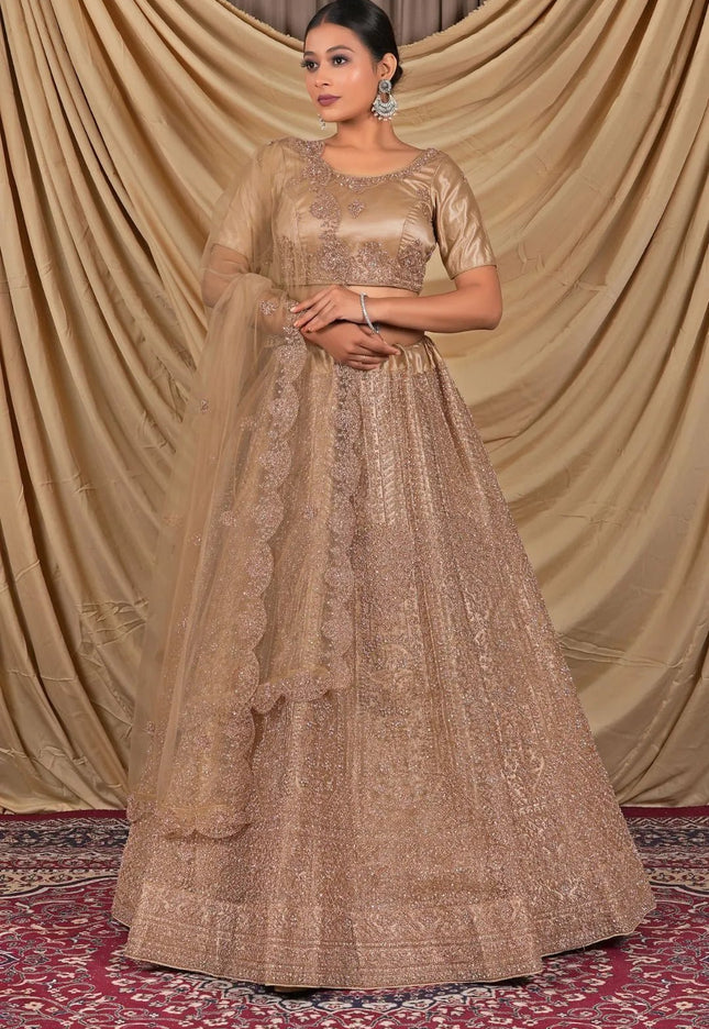 Chiku Sequins Embroidered Net Lehenga Choli - Gajiwala