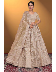 Chiku Velvet Lehenga Choli With Net Dupatta For Women - Gajiwala