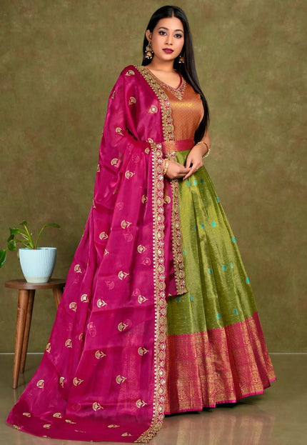 Liril Banarasi Silk Gown With Zari Work - Gajiwala