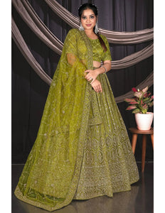 Liril Net Party wear Embroidered Lehenga Choli For Women - Gajiwala