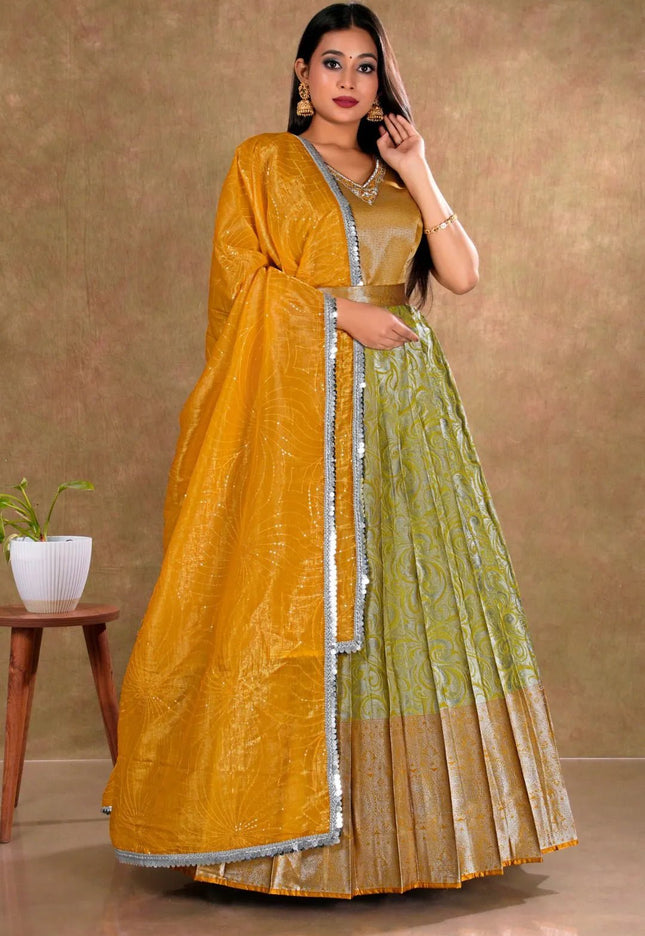 Pista Banarasi Long Dress with Zari work for Women - Gajiwala