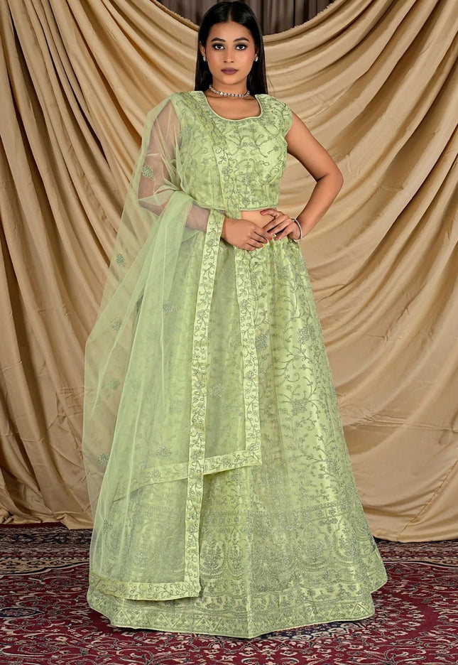 Pista Colour Net Crop Top Lehenga Choli - Gajiwala