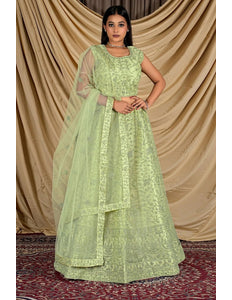 Pista Colour Net Crop Top Lehenga Choli - Gajiwala